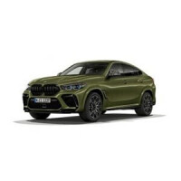 2019 BMW X6